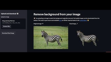 Background remover App | Python | Stream lit