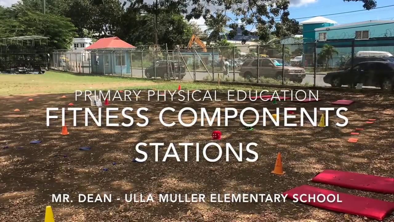 Elementary Physical Education Fitness Components Stations Elementary Physical Education Fitness Components Stations