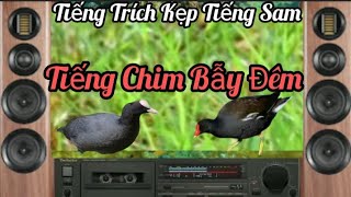 Tiếng Trích Mồi, Kết Hợp, Tiếng Sâm Cầm, Hai Vế Chuẩn.