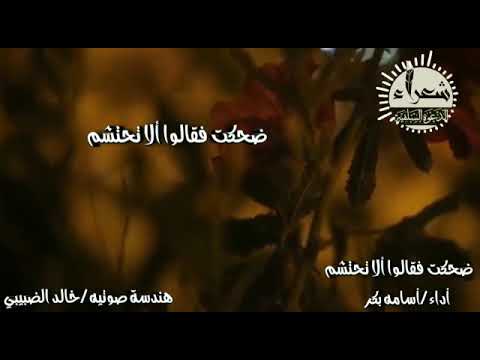 ضحكت فقالوا ألا تحتشم أداء أسامه بكر