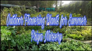 Flowering Plants for Summer (Outdoor)Priya  Nursery |Ramiya's Gardening and Travel Vlogs