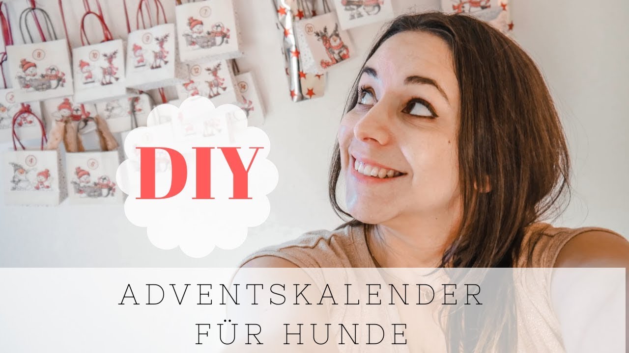 DIY Adventskalender für Hunde - YouTube