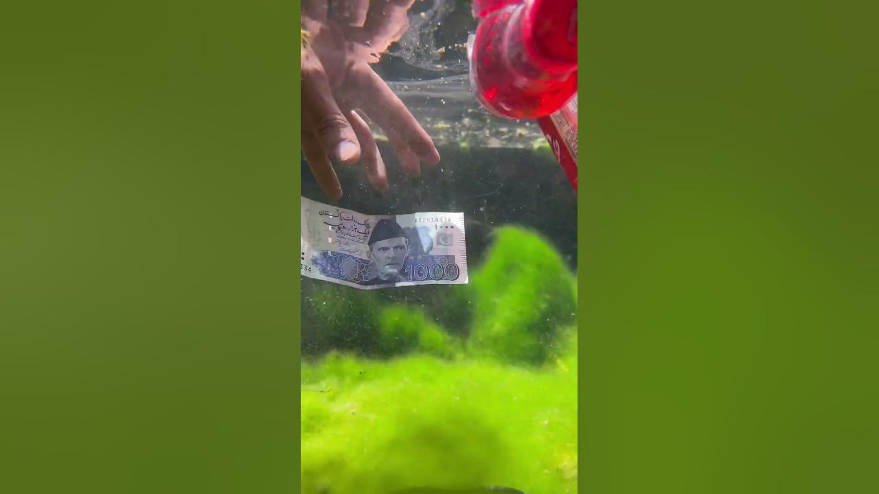 this-is-what-currency-looks-for-you-viral-youtube