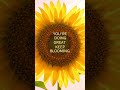 You’re doing great, keep blooming #shorts