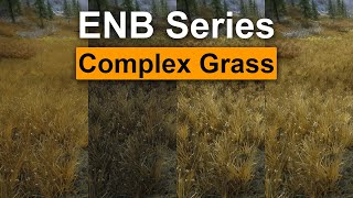 Skyrim Mod: ENB complex grass comparison