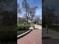 Hidden Gem in Cincinnati! ✨ Washington Park #washingtonpark #cincinnati #ohio Mp3 Song