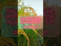#kannada#motivation#videos.     #shorts #video
