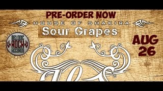 House Of Shakira - Stupid Love Song (Album 'Sour Grapes' Out Aug 26)