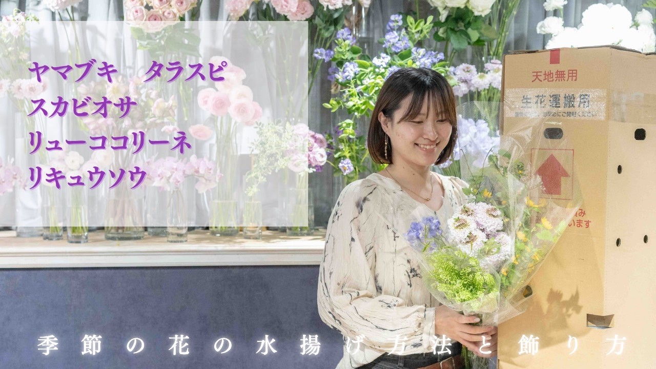 季節の花の水揚げ方法と飾り方　ヤマブキ　タラスピ　スカビオサ　リューココリーネ　リキュウソウ　4/11　4/14