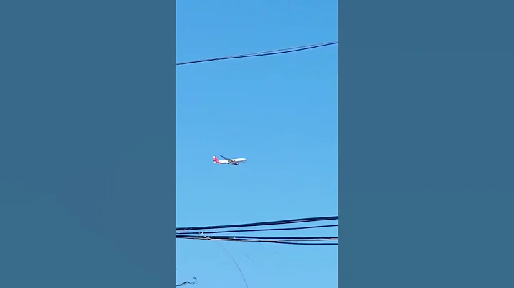 Avianca Cargo Airbus A330-243F (N336QT) Approaching to Miami from Bogota as QT4004 #avianca #shorts