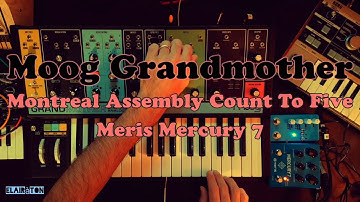 Moog Grandmother + Montreal Assembly Count To Five + Meris Mercury 7