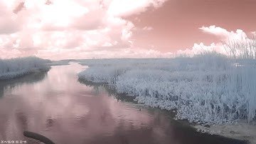 infragram video of bay denesse