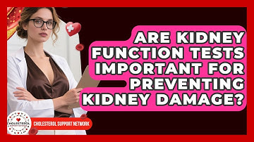 Are Kidney Function Tests Important For Preventing Kidney Damage? - Cholesterol Support Network