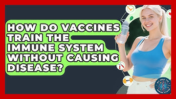 How Do Vaccines Train the Immune System Without Causing Disease? | All About the Immune System News