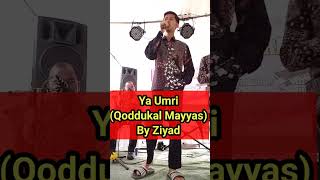 Sabah Fakhri - Qoddukal Mayyas (Ya Umri) : Ziyad