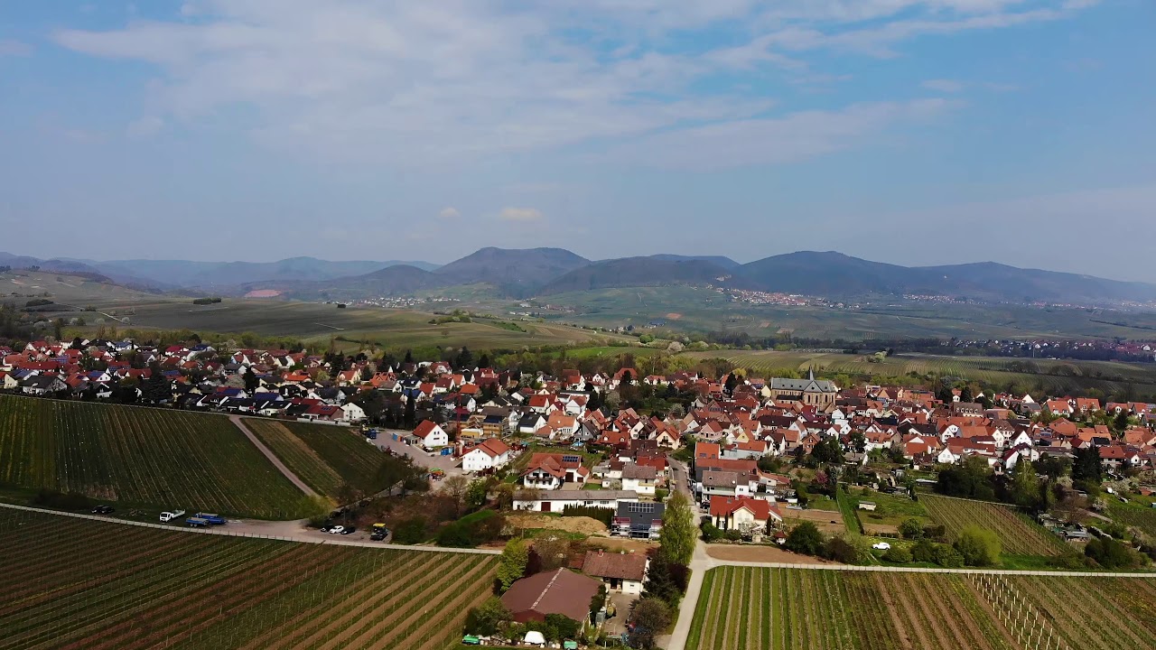 Luftaufnahmen Arzheim,kleine Kalmit, Ilbesheim, 4K Mavic Air