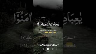 ya ibadi allazina amanu with urdu translation #tilawatequranepak #ytshort #yaibadi