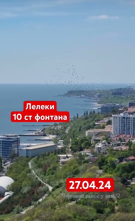 Лелеки на морі 27.04.24 Одеса море #одеса #beach #odessa #summer # ...