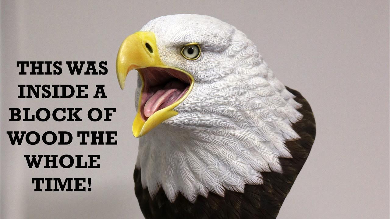 Making This Bald Eagle Head Carving - Time Lapse - YouTube