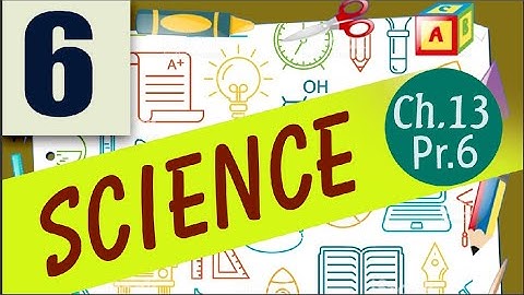 Class 6 Science chapter 13 Fun with Magnets part6 10 November 2020