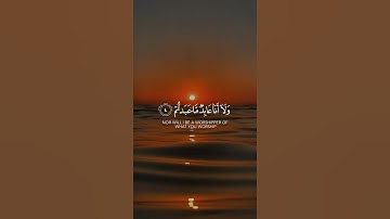 سورة (الكافرون) الشيخ (خالد الجليل)