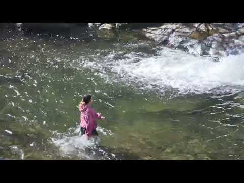 Lucia takes a dip at Whiteoak Canyon in February