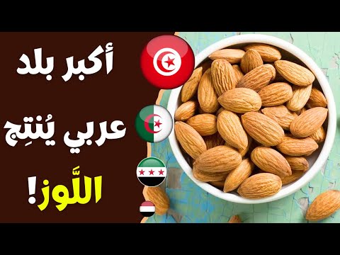 أكبر 10 بلدان عربية من حيث إنتاج اللوز