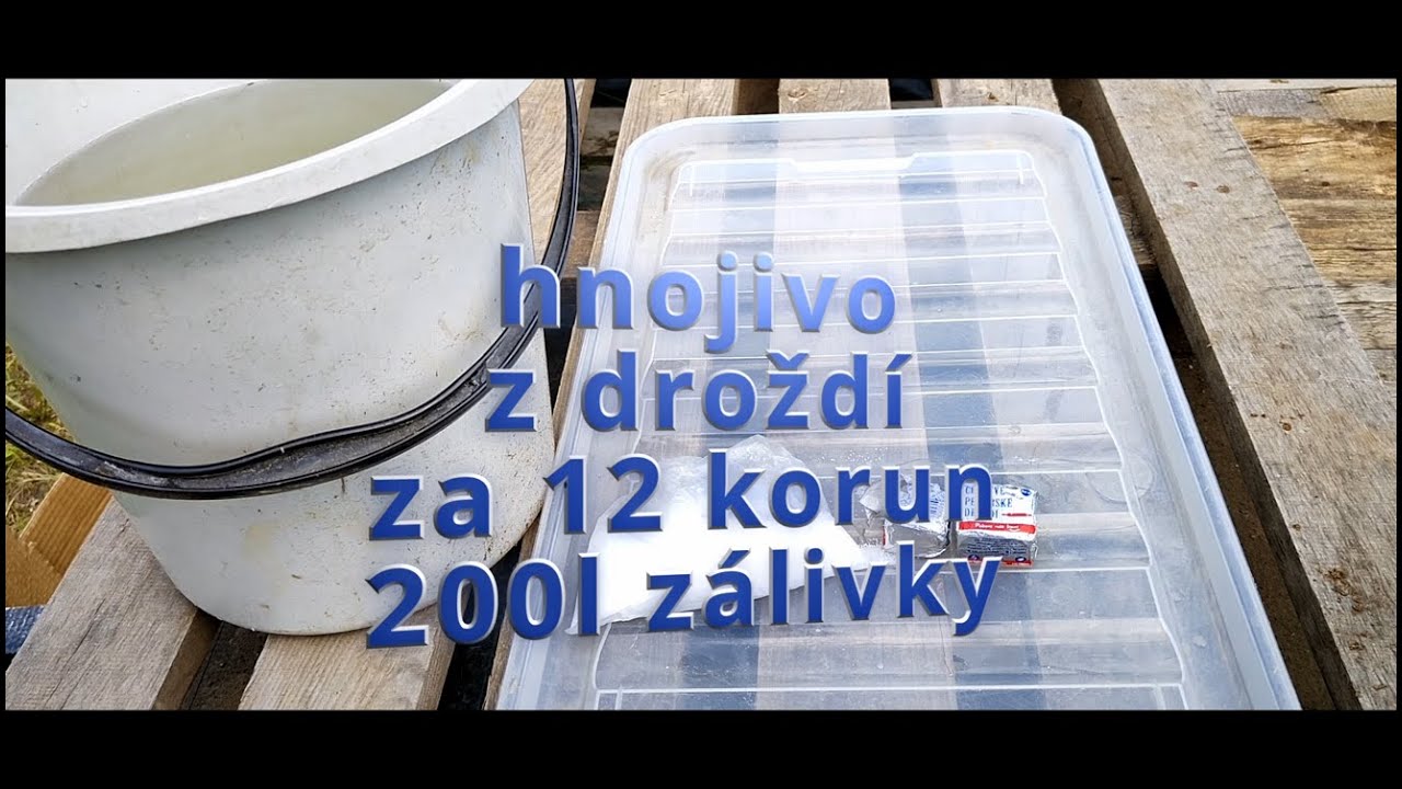 Droždí jako Hnojivo: Přírodní Zázrak pro Rychlý Růst a Zdravou Úrodu!