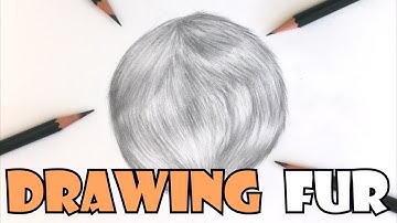 How to Draw FUR in Graphite Pencils | Step-by-Step Tutorial