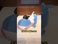 どんなまくらで寝たいですか？