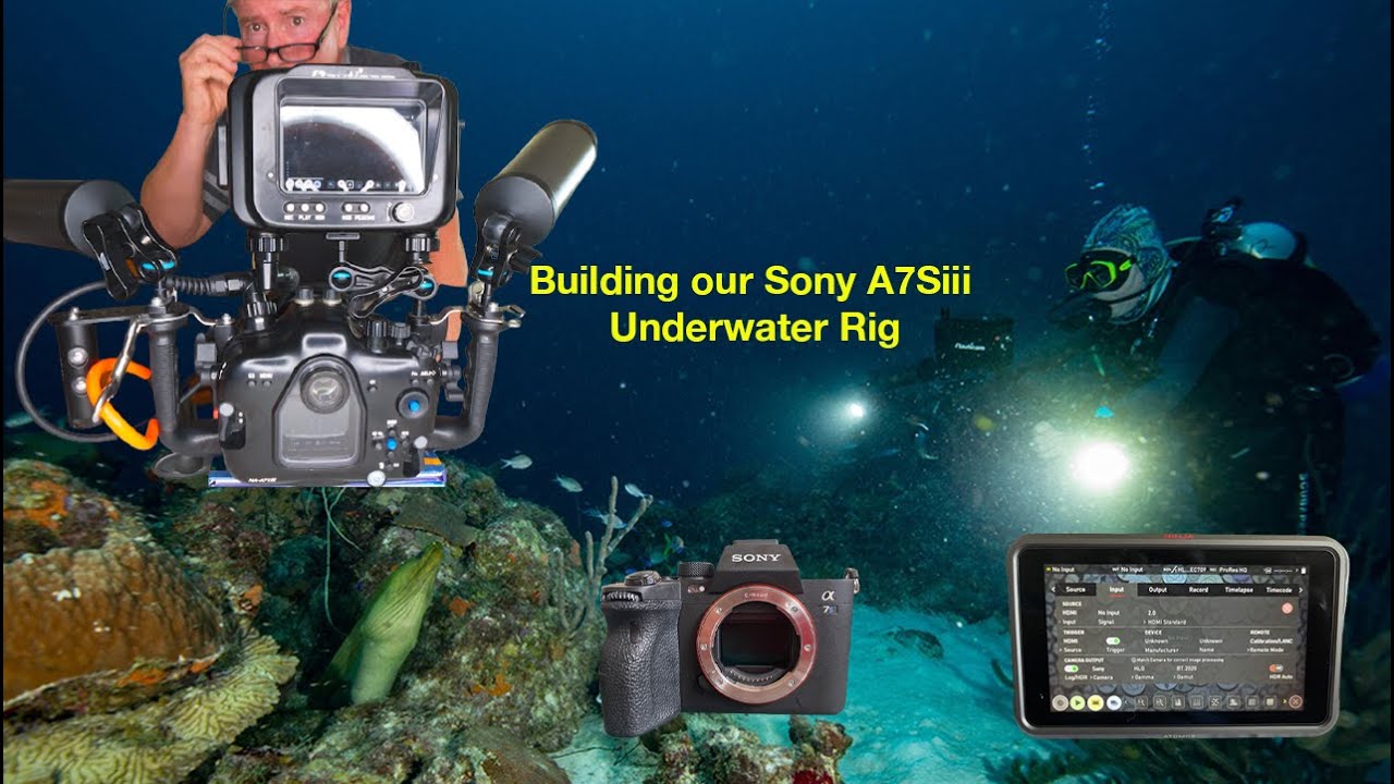 Underwater Housing for Sony A7SIII by Nauticam – Hollywood Divers