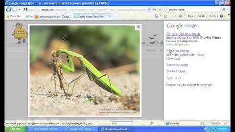 How to Insert an Image into a Google Drive Presentation