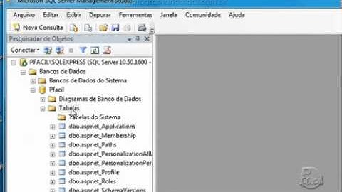 11 - Tabelas do Sistema - Programando em ASP.net Vol01 - Programando Fácil