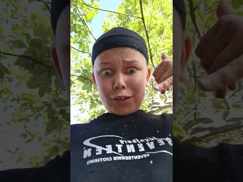 куляцки #кококо #КурочкаКока