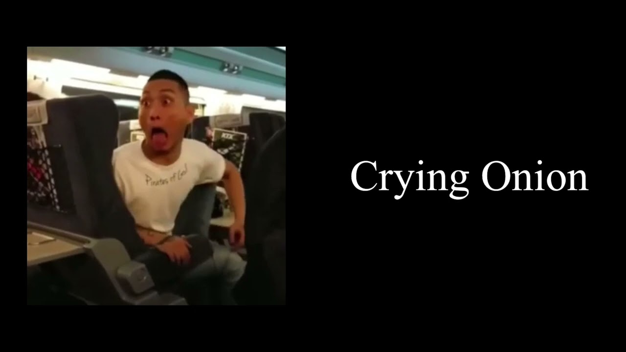 씨잼 미공개곡 플레이리스트