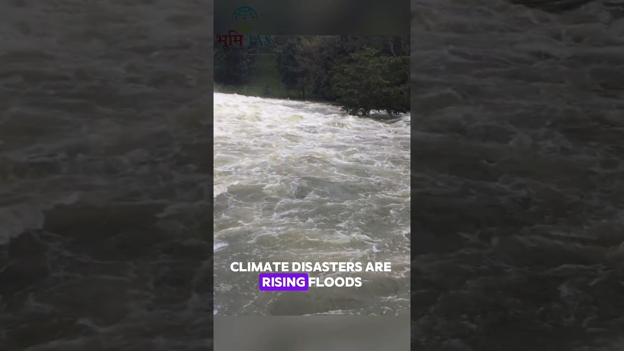 CLIMATE DISASTER ARE RISING FLOOD 