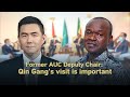 Former AUC Deputy Chair: Qin Gang's visit is important