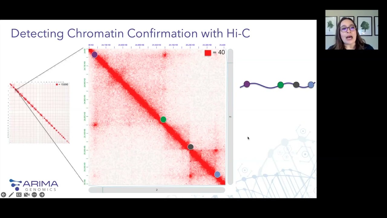 Illuminating the Human Retina with 3D Genomics: Leveraging Chromatin Architecture to Understand ...