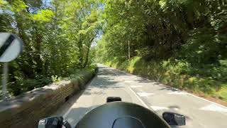IMG 0234