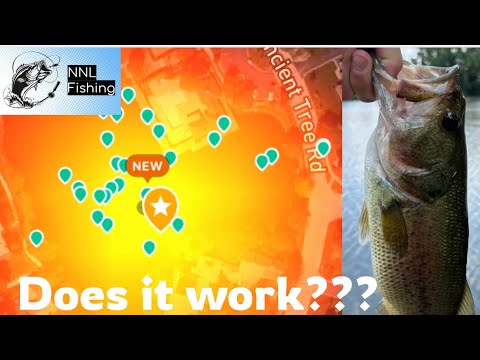 Fishbrain PRO spot predictors: ARE THEY EFFICIENT?