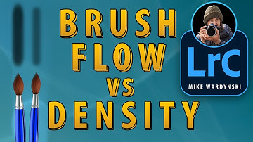 Flow vs Density: LRC Brush Settings, Must Watch Tutorial