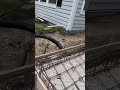 swimming pool contraction