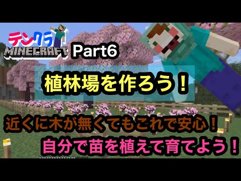 [テンクラ]桜の苗を植えよう！植林場を作る！これで近くに木が無くても安心！#6【マインクラフト】【マイクラ】