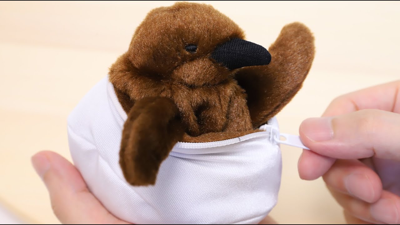 ⁣Penguin Chick Hatching Plush Toy Japanese Souvenir