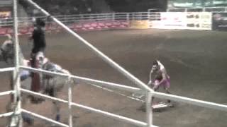 PAGLIACCIO CHE FA SURF TRAINATO DA CAVALLO screenshot 4
