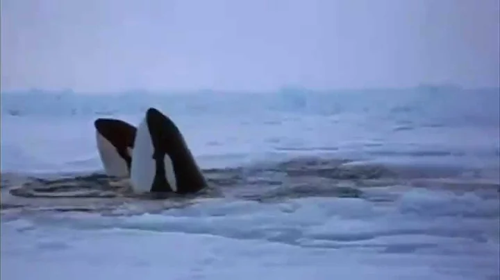 Strangest Weather on Earth: Life & Death