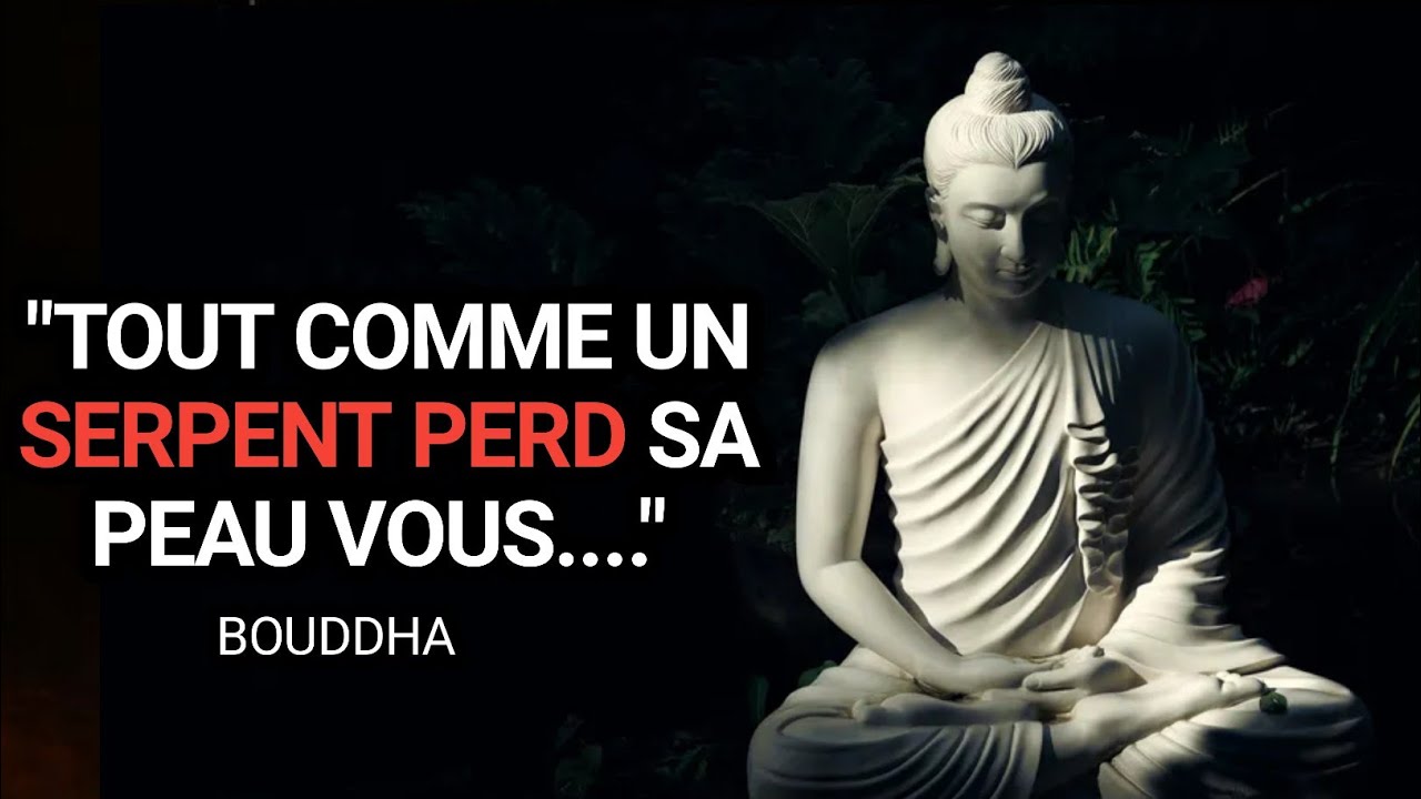 40 CITATIONS SAGES DE BOUDDHA| Aphorismes et Pensées puissantes|