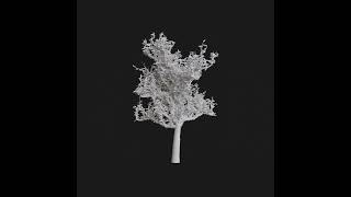 Tree in 60 SECONDS