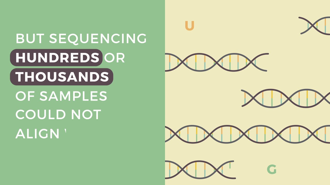 Agrigenomic Solutions