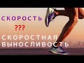 В чем разница между скоростью и скоростной выносливостью. Как повысить